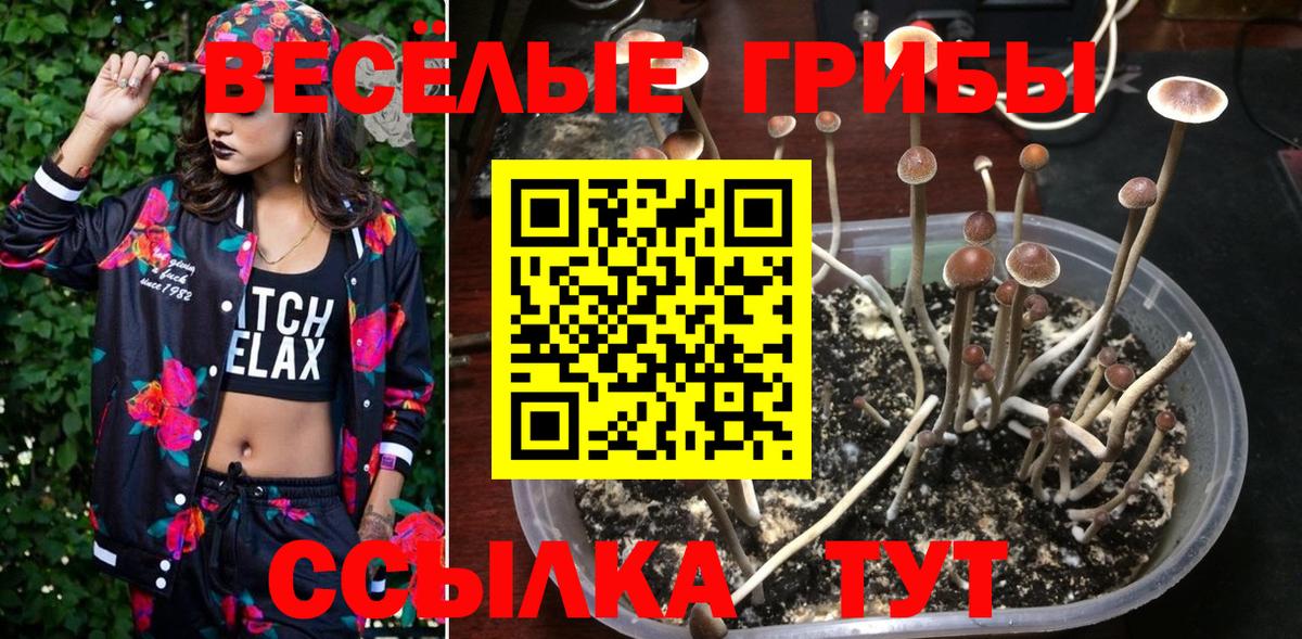 Галлюциногенные грибы прущие грибы  Вход с VPN  Белебей  Галлюциногенные грибы MAGIC MUSHROOMS 